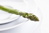A green asparagus spear on a plate (close-up)