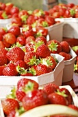 Viele Pappschälchen mit Erdbeeren