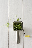 Parsley and a herb mill
