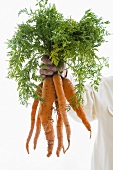 A man holding a bunch of carrots