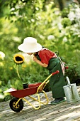 A little girl dressed as a gardener with a wheelbarrow and a sunflower