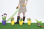 A woman watering tulips on artificial turf