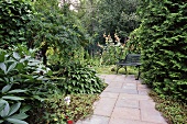 A bench on a garden path