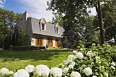 weiße Hortensienblüten vor alleinstehendem Haus mit gepflegtem Garten