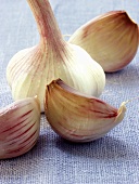 Knoblauch mit Knoblauchzehen