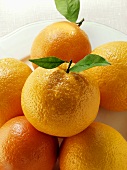 Oranges