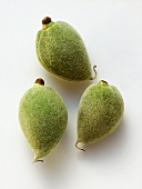 Three fresh almonds