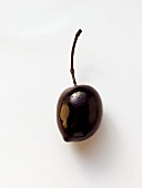 Black olive