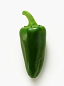 Green chili pepper (Jalapeno)