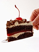 Piece of Black Forest cherry gateau on cake slice