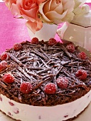 Chocolate raspberry gateau with icing sugar; roses