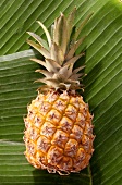 Pineapple on banana leaves