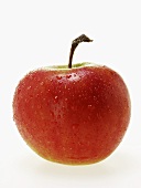 Roter Apfel mit Wassertropfen