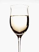 A Glass of White Wine