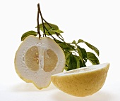 Lemon halves with twig and leaves