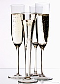 Various champagne glasses
