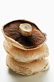 Portobello-Pilze (Pilzhüte), gestapelt