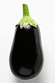 Aubergine