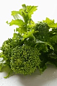 Broccoli rabe (detail)
