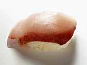 Nigiri sushi with mackerel