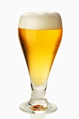 A Glass of Beer