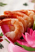 Thai shrimps