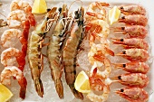 Various types of shrimps with lemons on crushed ice