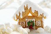 Maple log cabin (gingerbread house with maple syrup, USA)