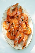 Shrimps on plate