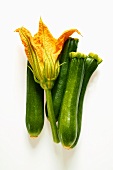 Zucchini und Zucchiniblüte