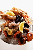 Seafood on plate of crushed ice