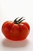 Fresh beefsteak tomato with drops of water