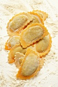 Home-made ravioli