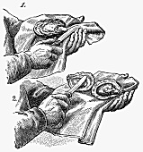 Opening oysters (Illustration)