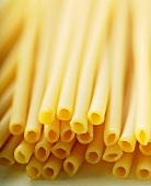 Macaroni