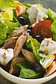 Romaine lettuce with tuna, sheep's cheese, tomatoes & olives
