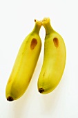 Two mini-bananas