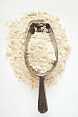 Flour with metal scoop