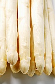 White asparagus