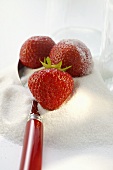 Fresh strawberries with sugar