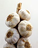 A Garlic Braid