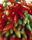 Green and red chili peppers, in a bundle