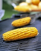 Barbecued corncobs