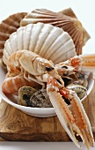 Scampi and shellfish in white dish