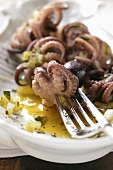 Octopus in olive oil