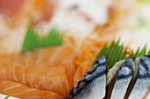 Sashimi with salmon and mackerel (close-up)