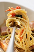Spaghetti with tuna, tomatoes and basil on fork