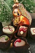 Weihnachtliche Pralinen; Deko: Eichhörnchen