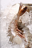 King prawns without heads on ice