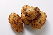 Vier Kartoffeln mit Erde